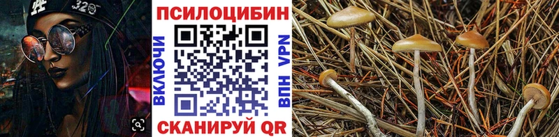 Галлюциногенные грибы Magic Shrooms  Кашира 