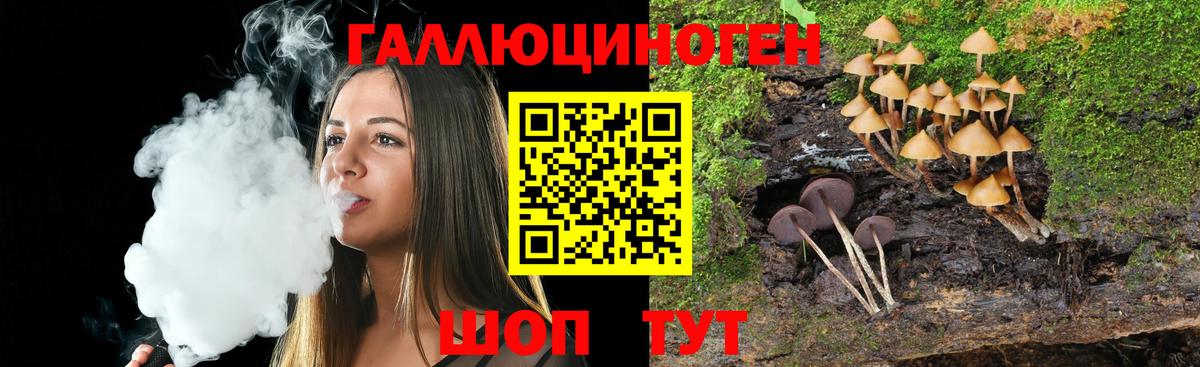 Псилоцибиновые грибы мицелий Кашира