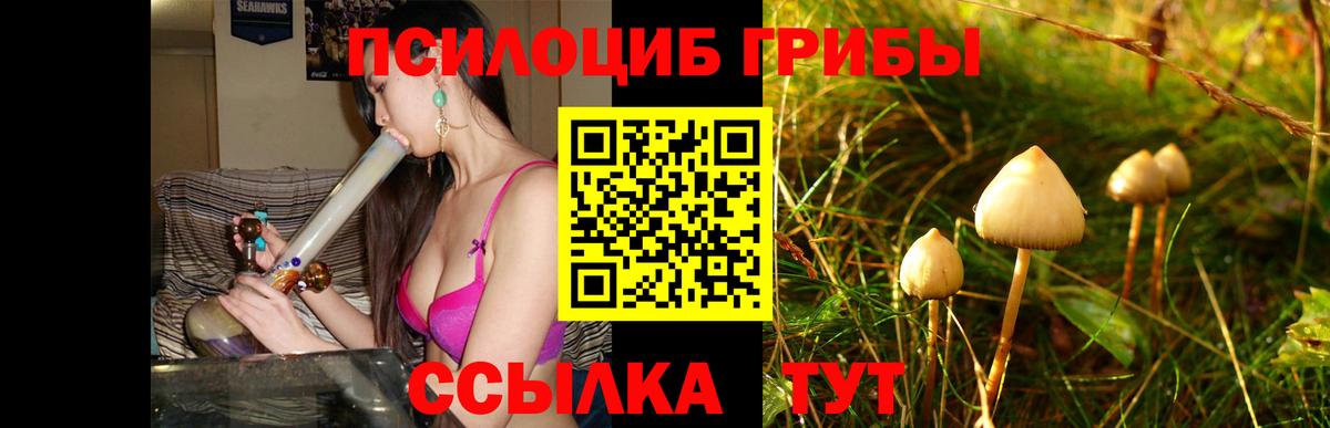 закладка  Галлюциногенные грибы Psilocybe  Вход с VPN  Кашира 